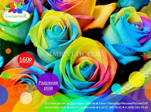 Доставка цветов  © Семицветик - это доставка цветов по Санкт-Петербургу, Москве и другим городам. 