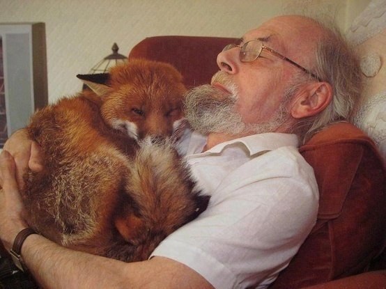 Однажды он спас лису от смерти. Настоящие друзья!