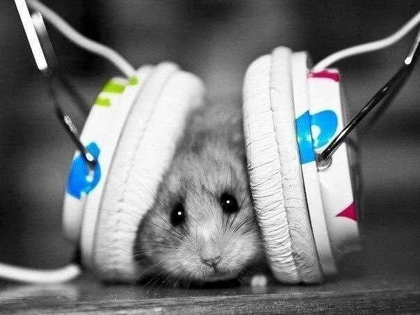 Когда вы счастливы, вы наслаждаетесь музыкой.
