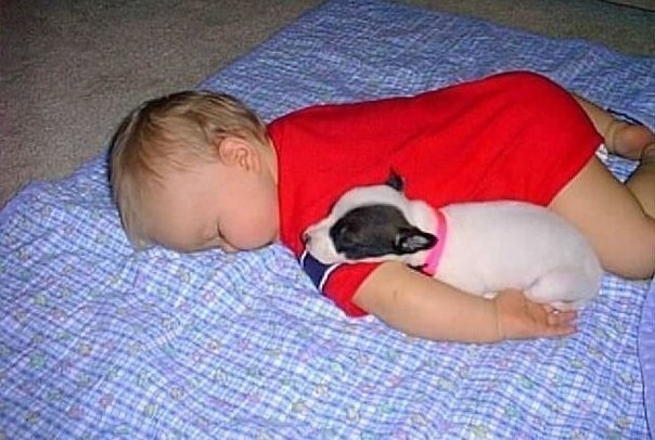 Детство — это когда спать обязанность, а не мечта...