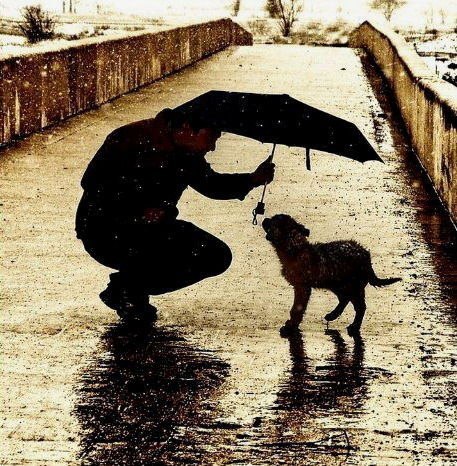 Спасение одной собаки не изменит мир...но мир несомненно изменится для этой одной собаки.