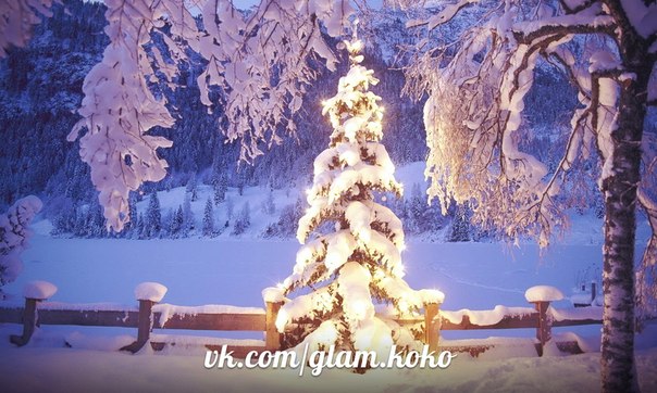 Я хочу, чтобы выпал снег, красивый, пушистый, чтобы деревья одели кокетливые белые шубки, и все вокруг пахло, и дышало праздником©