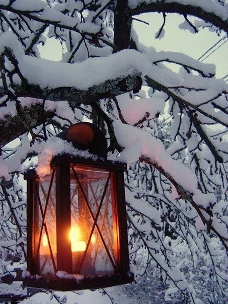 Зима рождает в душе ощущение сказки и праздника..