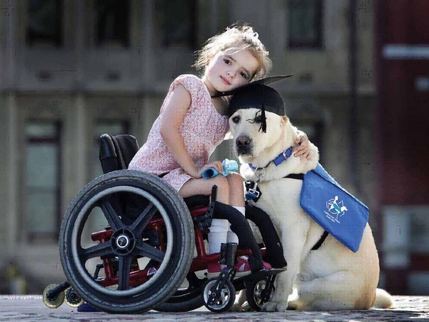 СИЛА - это когда инвалид на коляске улыбается в глаза тем, кто презирает его и ненавидит...